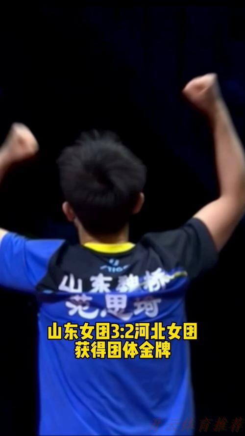 开云体育APP下载：全运会乒乓球女团决赛 山东队3-2战胜河北队夺冠